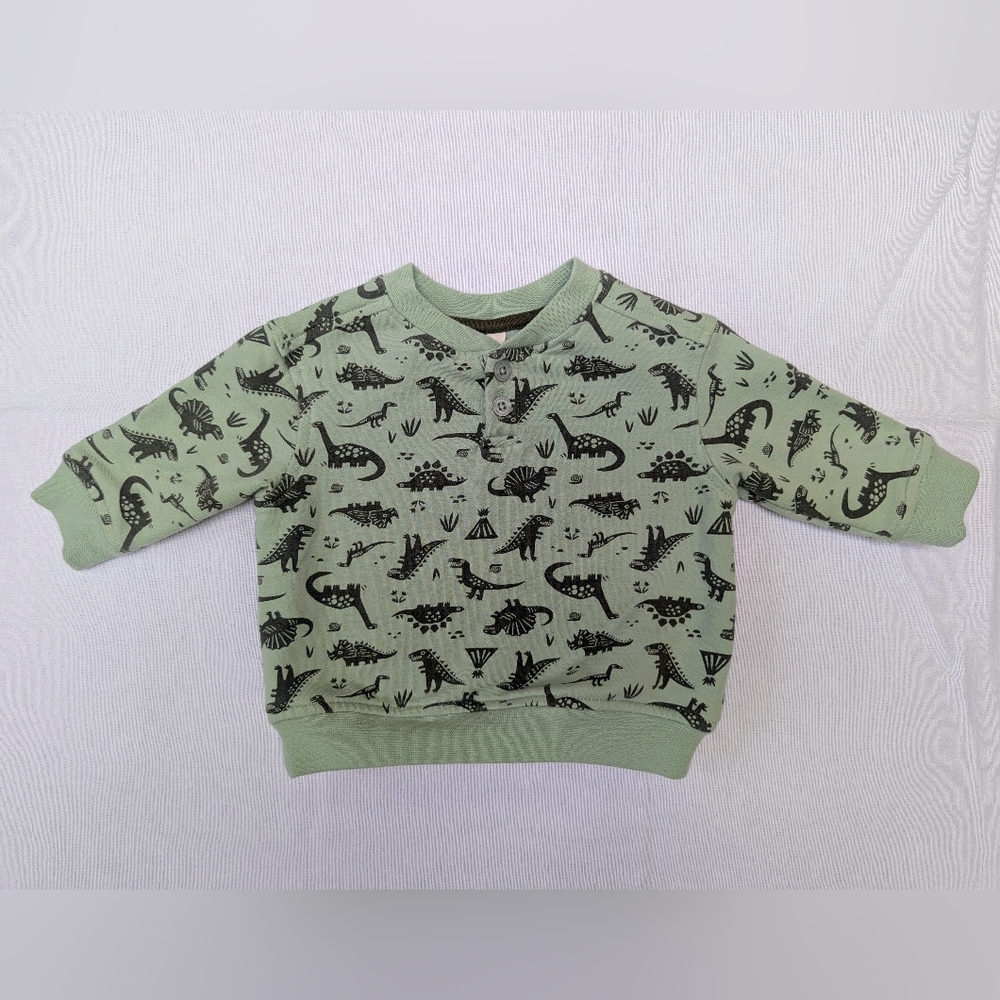 Tucker + Tate Mint Green Dinosaur Print Pullover